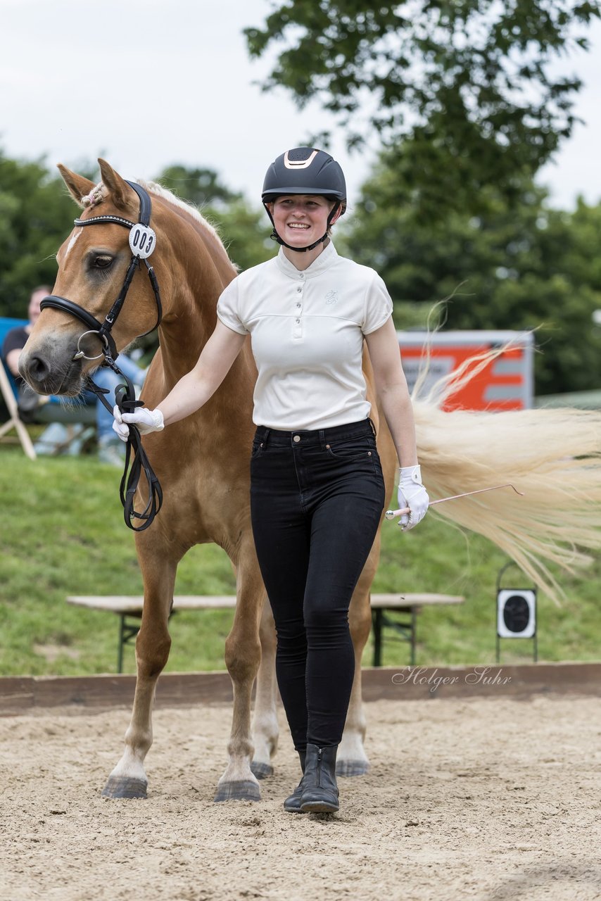 Bild 1 - Pony Akademie Turnier